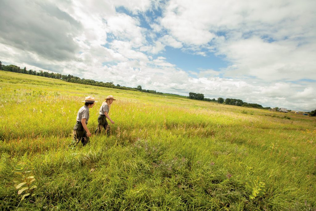 Lauren Blacik and a coworker walk through prairie grass