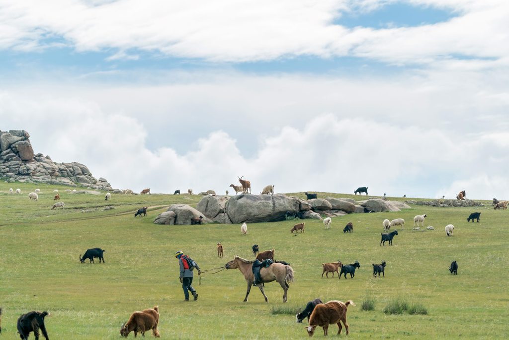 Mongol Derby