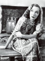 Lupe_3306744.jpg