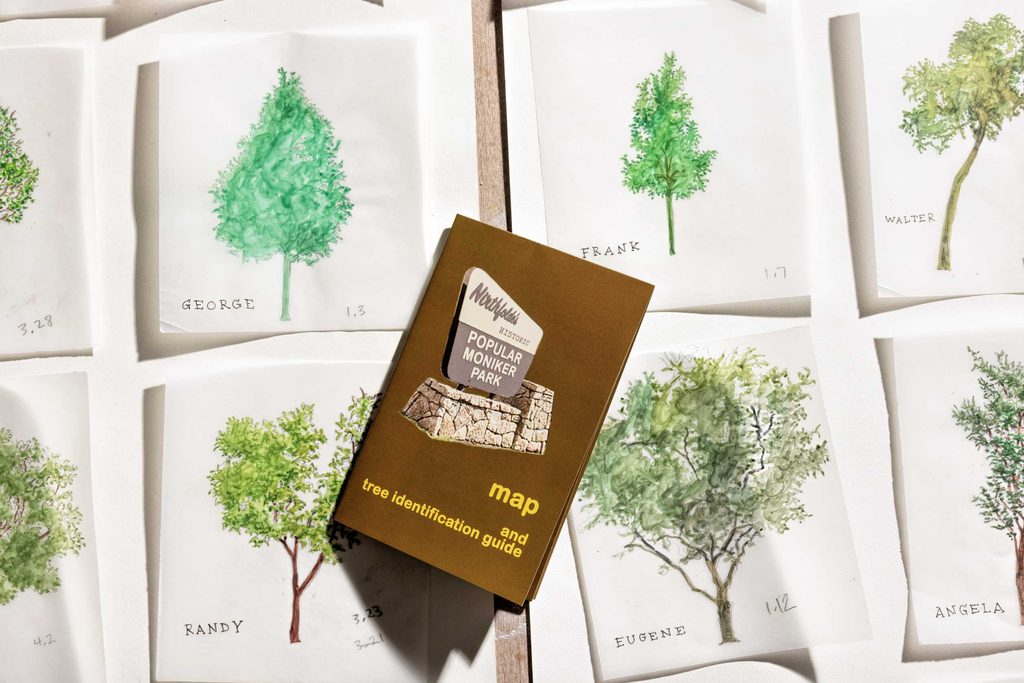 tree identification guide brochure among paintings of trees