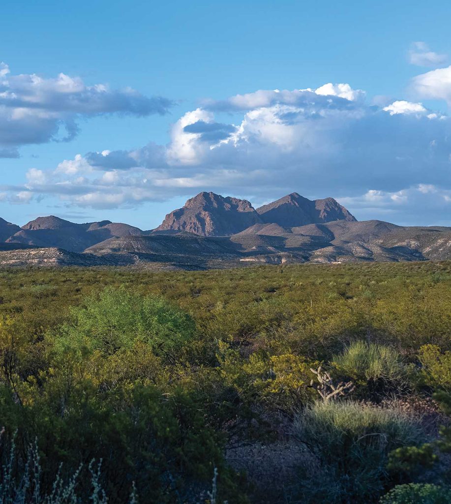 mountain landscape in the desert
