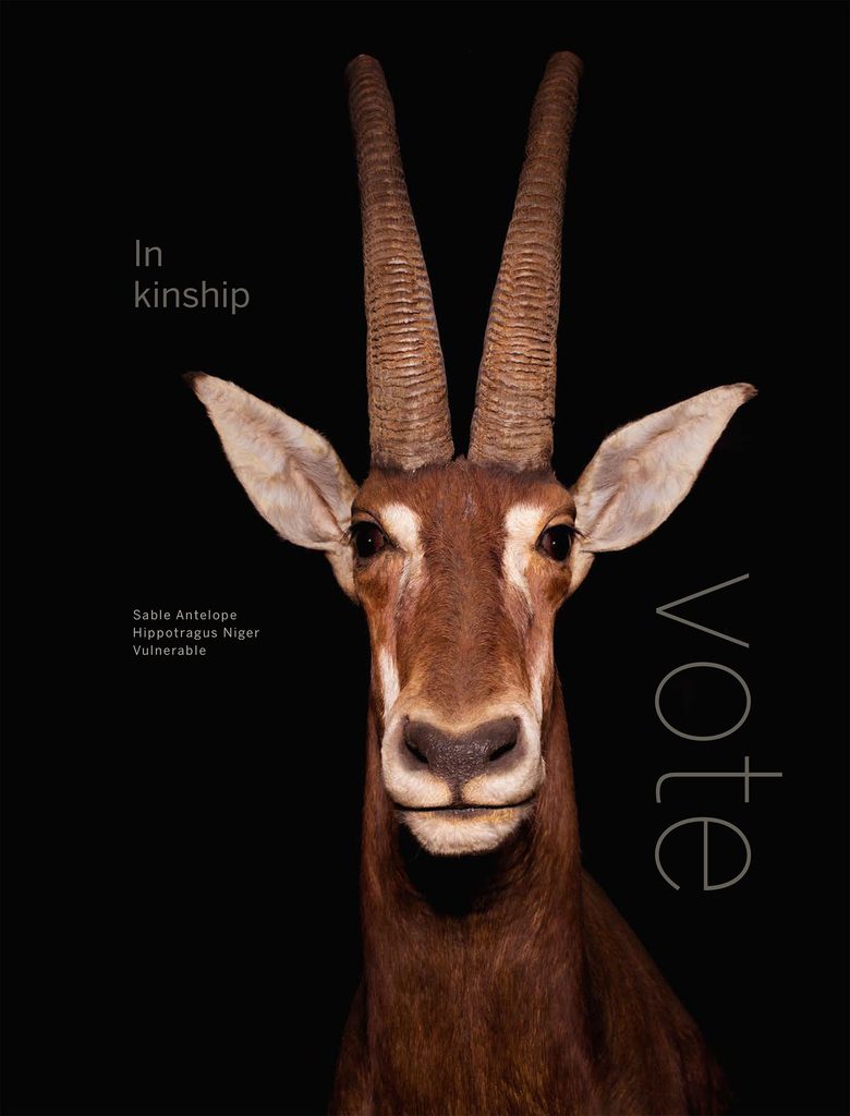 poster ofantelope with text "in kinship, vote"
