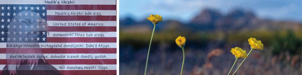 two photo collage: one of an American flag with a bald eagle in the background overlays text in both Apache and English, the second yellow flowers blooming amongst a mountain landscape