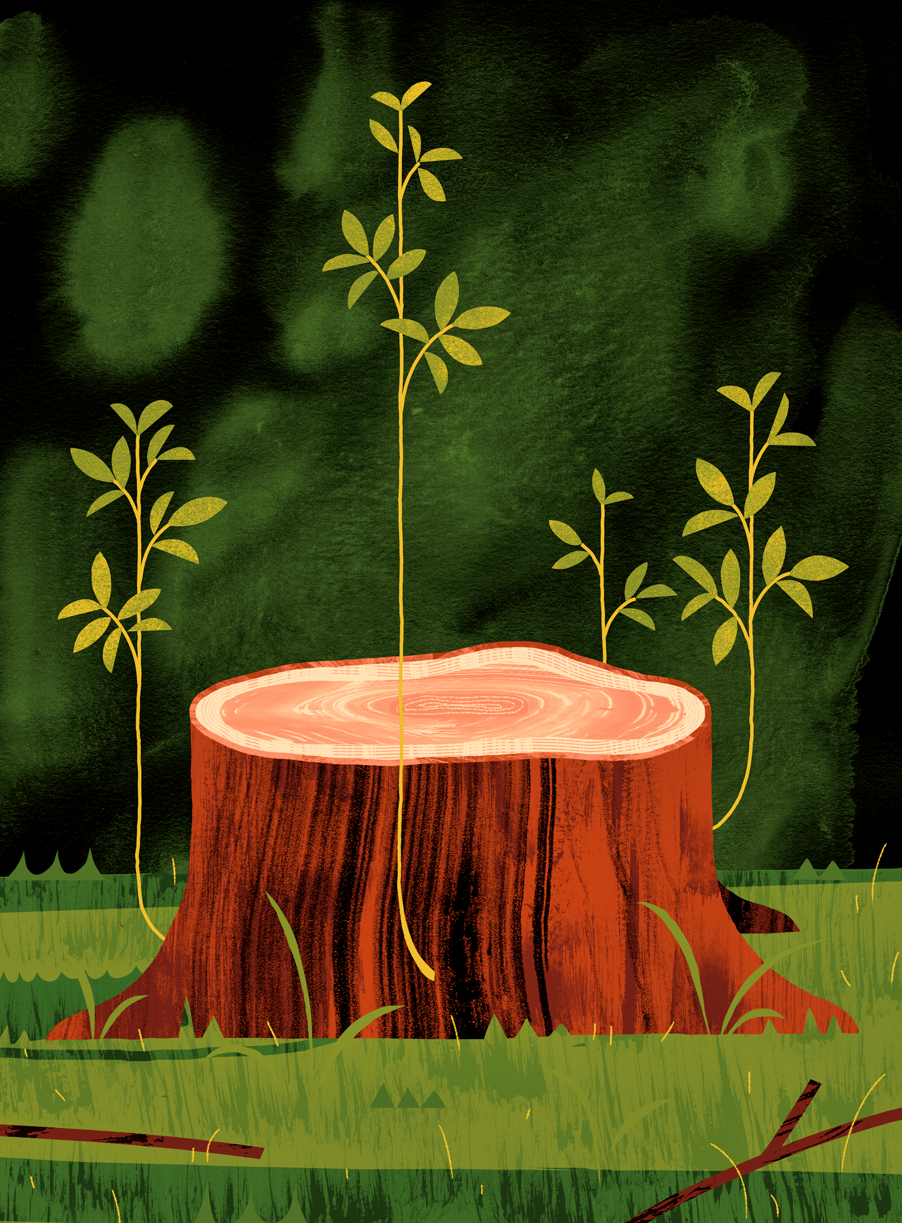 illustration of a tree stump with plants growing out of it