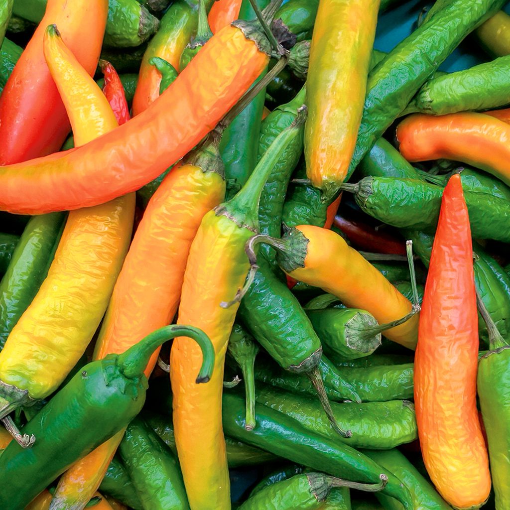 pile of peppers