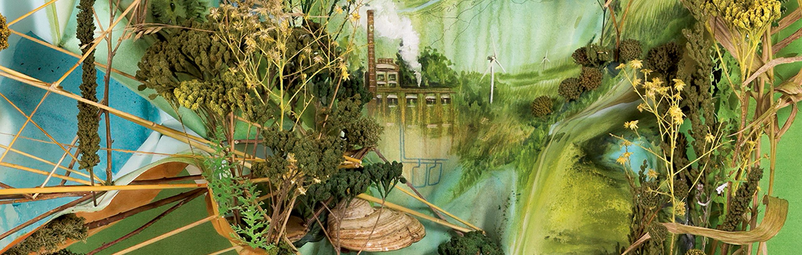 Gregory Euclide artwork: a sculptural relief made with paper and plant matter from the Cowling Arboretum