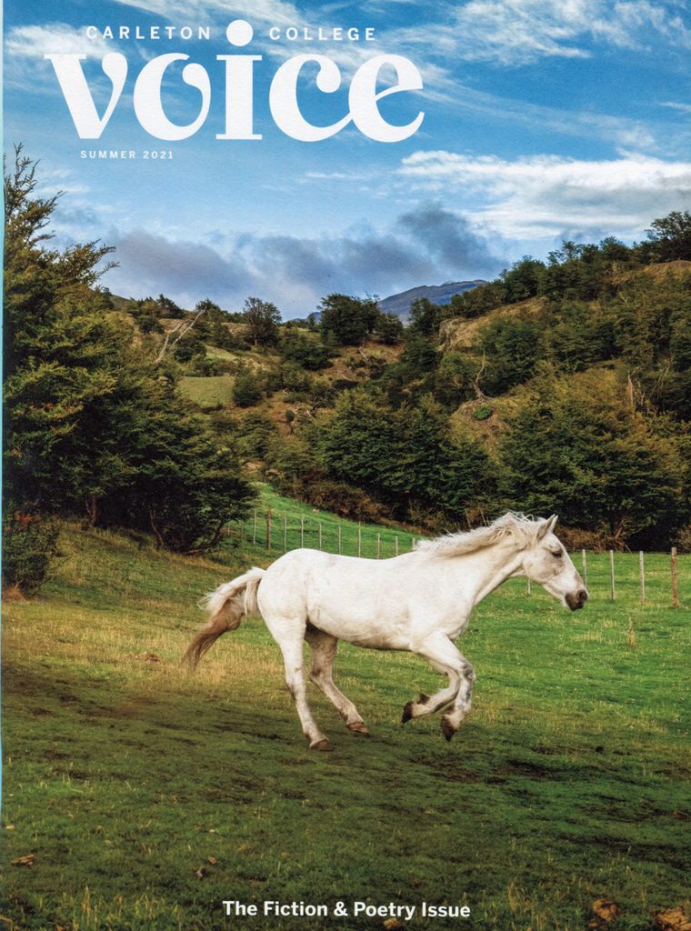 Voice cover summer 2021