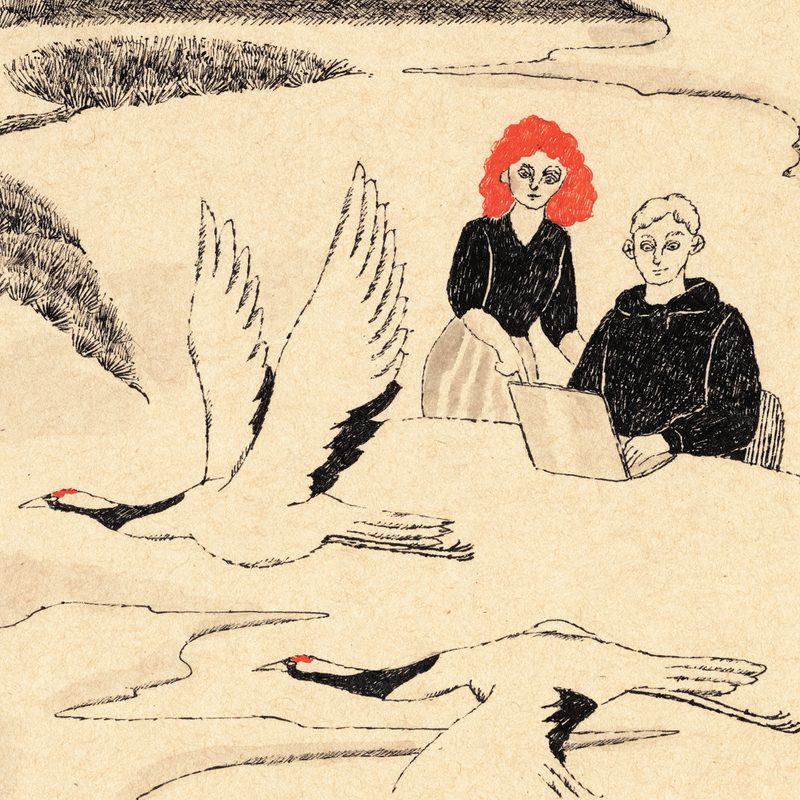 Illustration of students and faculty plus a couple of cranes flying through the scene