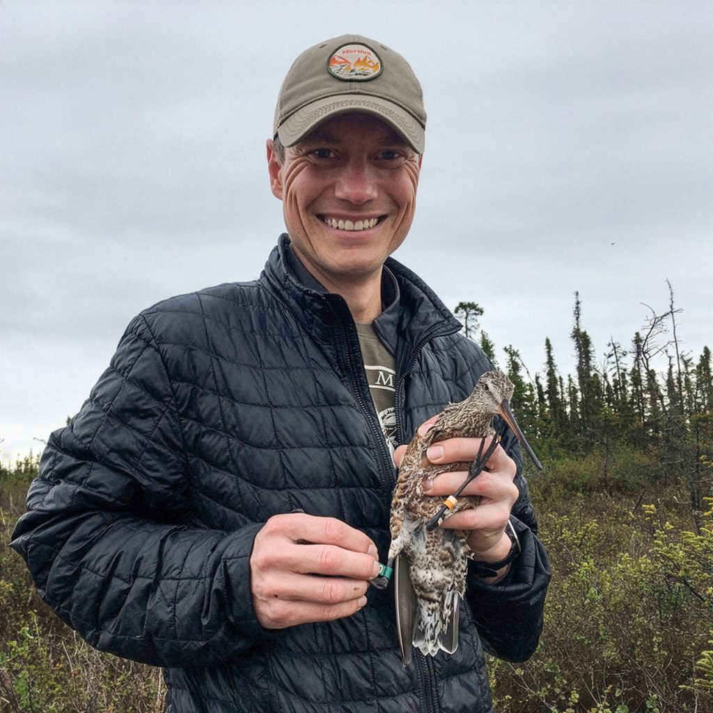 Nathan Senner '04 holding and banding a Hudsonian godwit in an Alaskan marsh