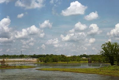 Paul Shambroom, Bayou Choctaw, LA, 2008, pigmented inkjet on paper.