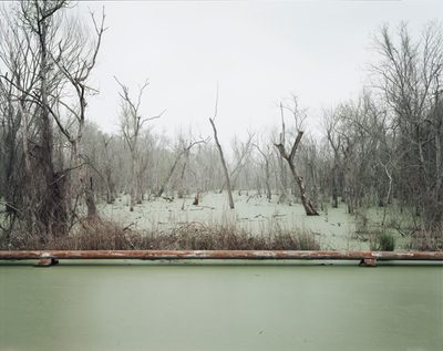 Richard Misrach, Swamp and Pipeline, Geismar, Louisiana, 1998