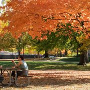 Students at a picnic table in the fall