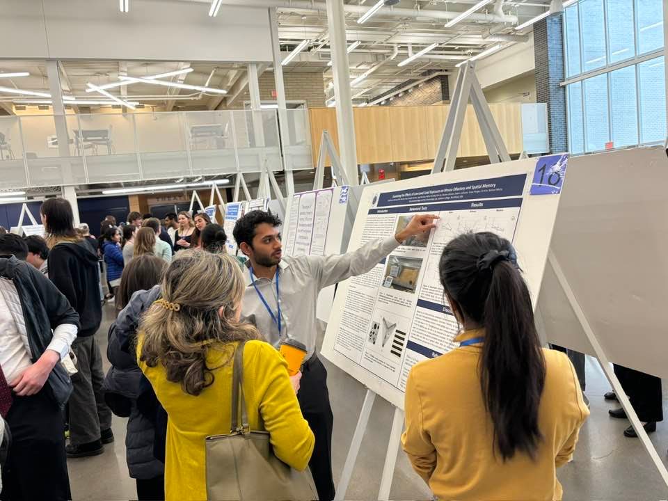 Student presenting at MUPC 2024