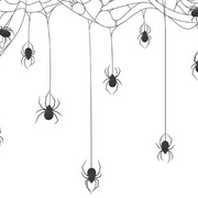 Spider Webs