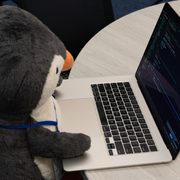Penguin Coding