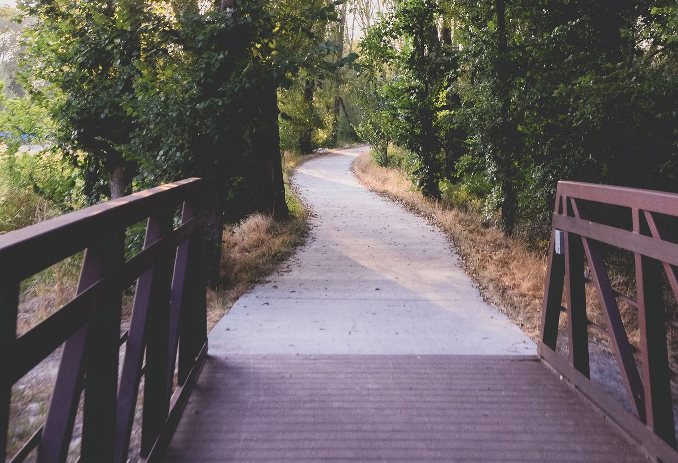 A trail crosses a bridge and leads into a forest
