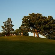 Hill of 3 Oaks at Reunion