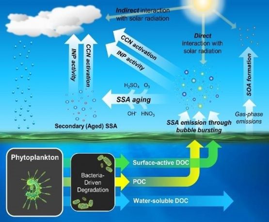 CAISE Summer Research