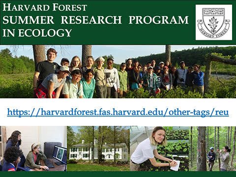 Harvard Forest Summer Research