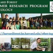 Harvard Forest Summer Research