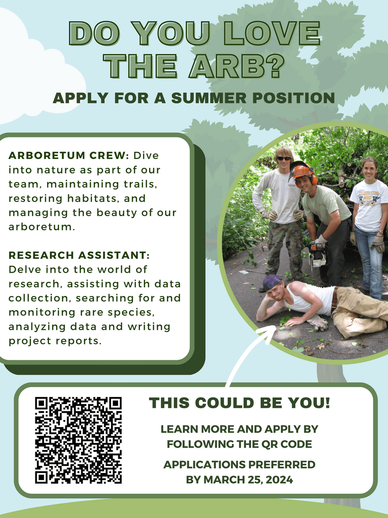 Arb summer job information with QR code