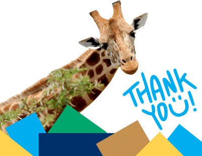 giraffe's neck with the note that says thank you.