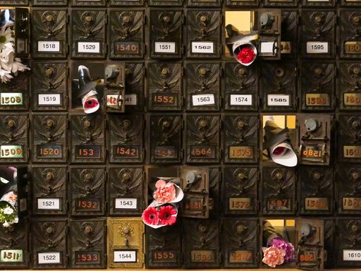 mailboxes with flowers in some