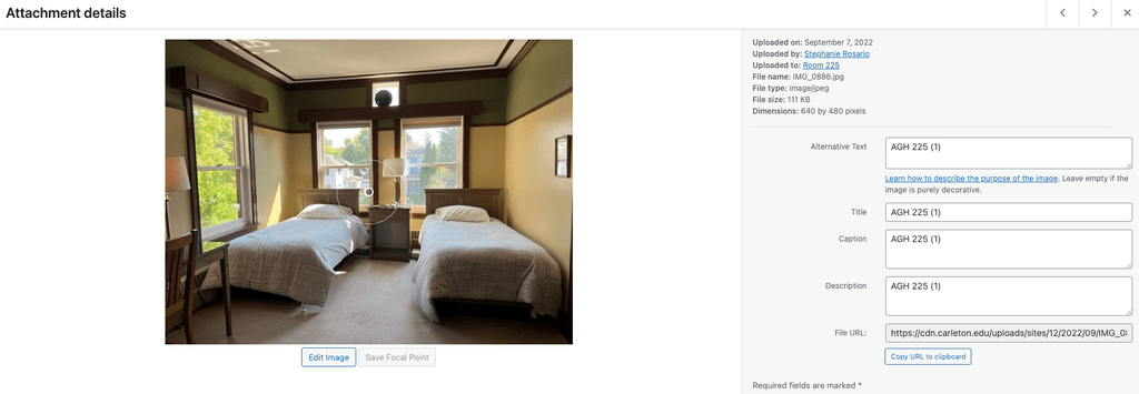 Screenshot of a DubBot flagged issue: image requiring better alt text