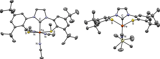 Graphical abstract, showing two iron SCS pincer systems