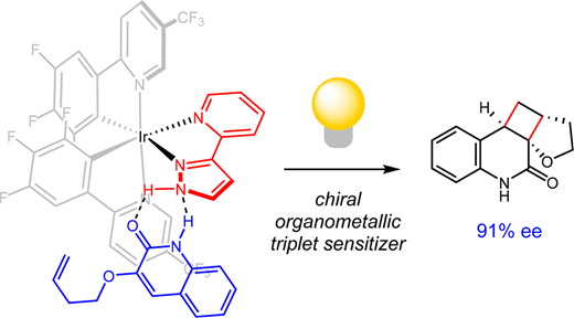 Graphical abstract, showing the H-bonding interaction of an iridium photocatalyst with a quinolone substrate, leading to a [2+2] cycloaddition