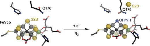 Graphical abstract, showing the structural change of an iron sulfur cluster upon reduction and sulfur loss
