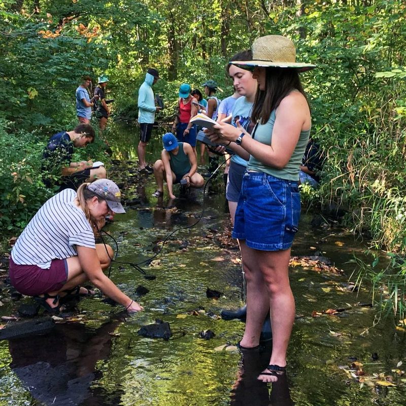 College students collect water samples from a stream surrounded by woods.