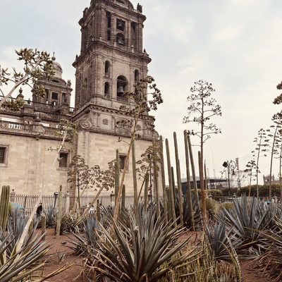 The Metropolitan Cathedral in Mexico City