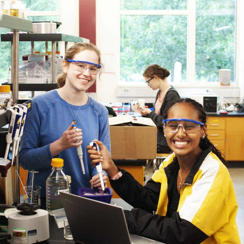 Students in a chemistry lab