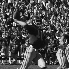 Barnes on the football field, arm stretched back about to throw a pass