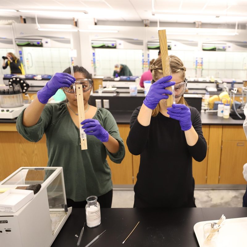 Biochemistry Academic Catalog 202425 Carleton College