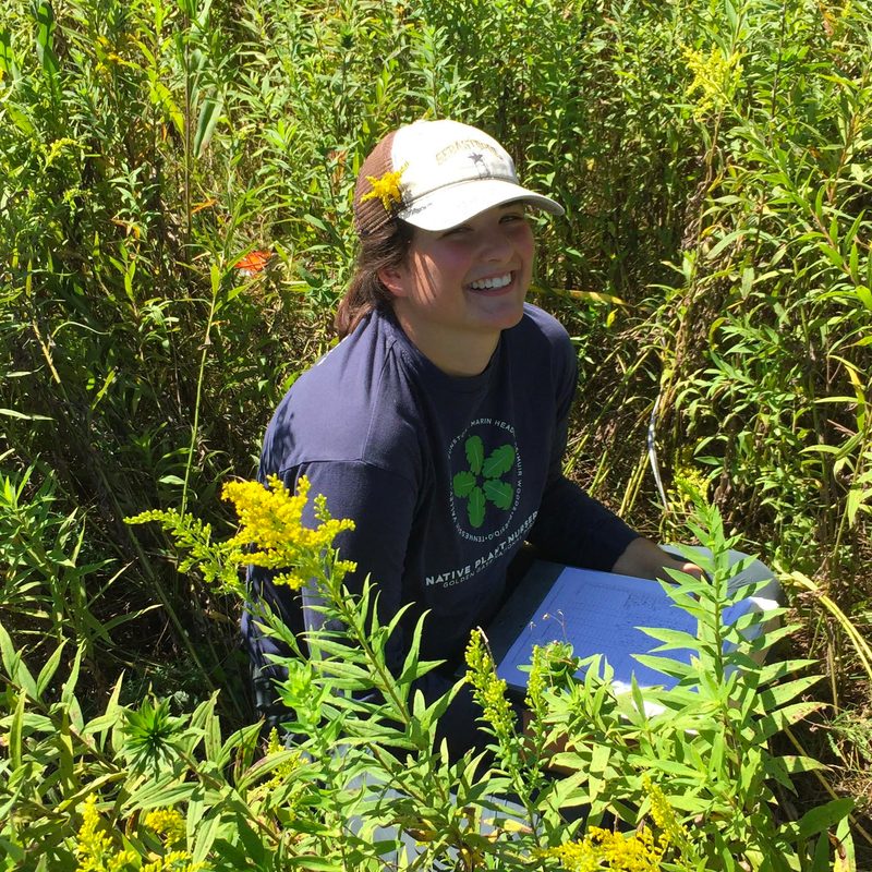 Biology Academic Catalog 202425 Carleton College