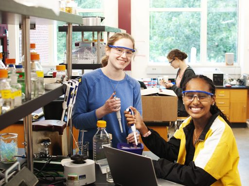 Students in a chemistry lab
