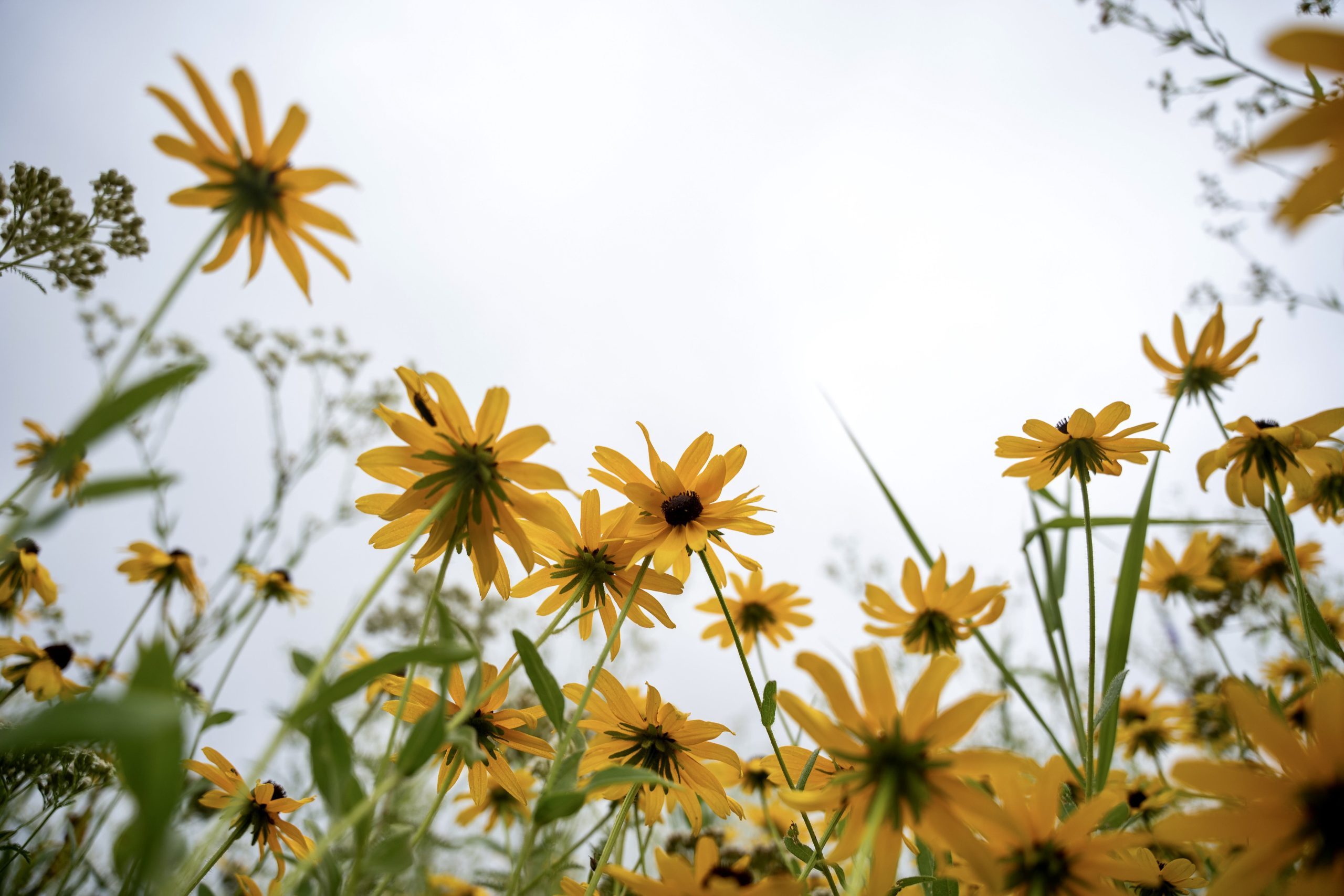 Summer Activities and Community