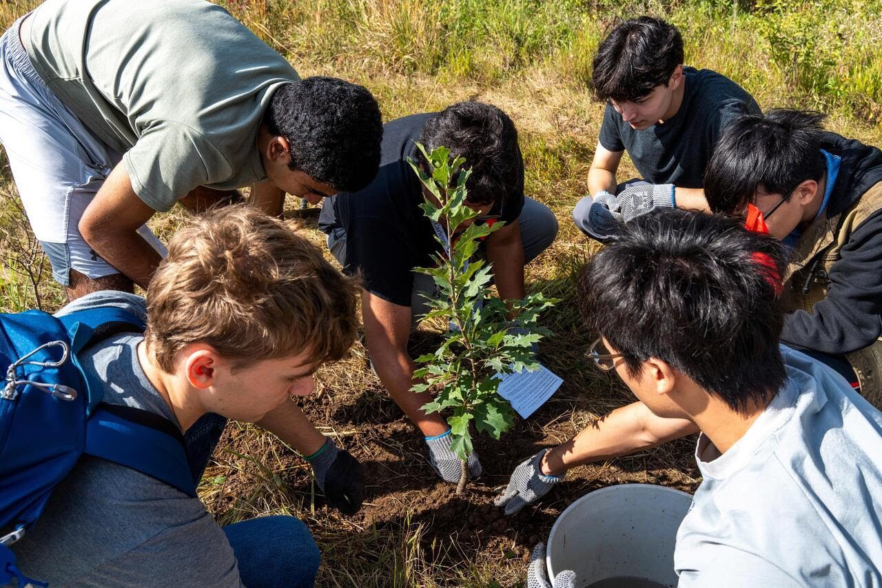 Student from the class of 2029 plant trees in the Arb during New Student Week