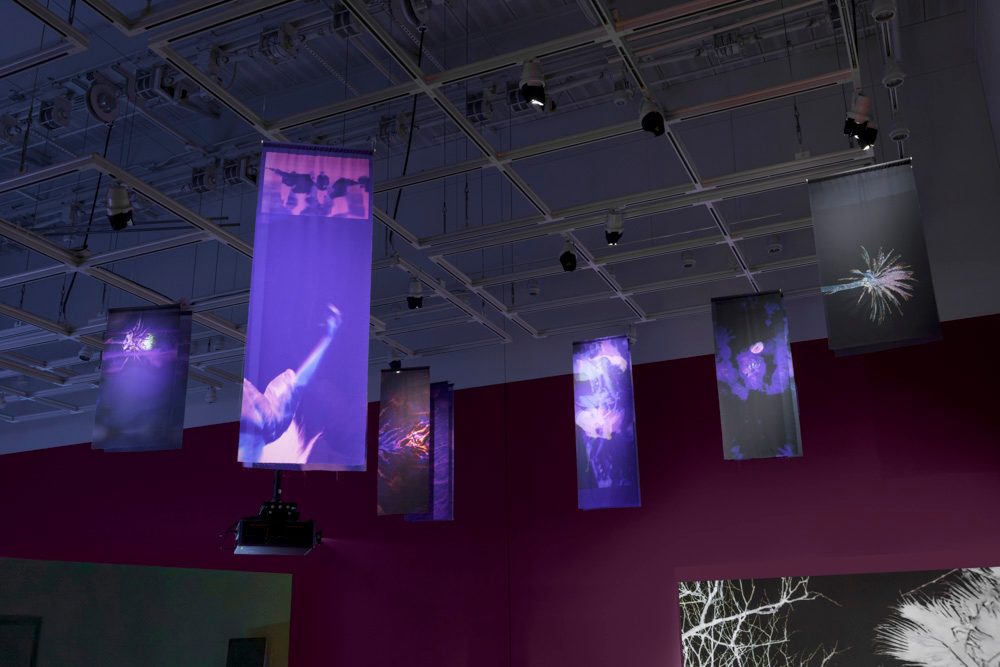 Spotlights highlight a grouping of purple and black fabric banners, hanging from white ceiling grids. On the magenta walls are two black and white projections.