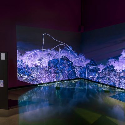 A single channel video of an inverted blue and purple thistles is projected along a back corner wall. Multiple concrete bricks with a skeletal thistle plant stuck into it sit across the floor. On each side of the projection are images posted to standing gray panels.