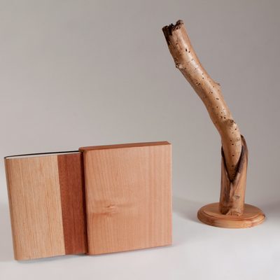 sculpture made of wood veneer, suede, and paper