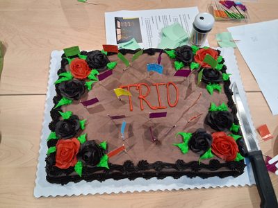 TRIO Cake Activity at TRIO's Work Together: Build Together: Creating Campus Community Workshop 