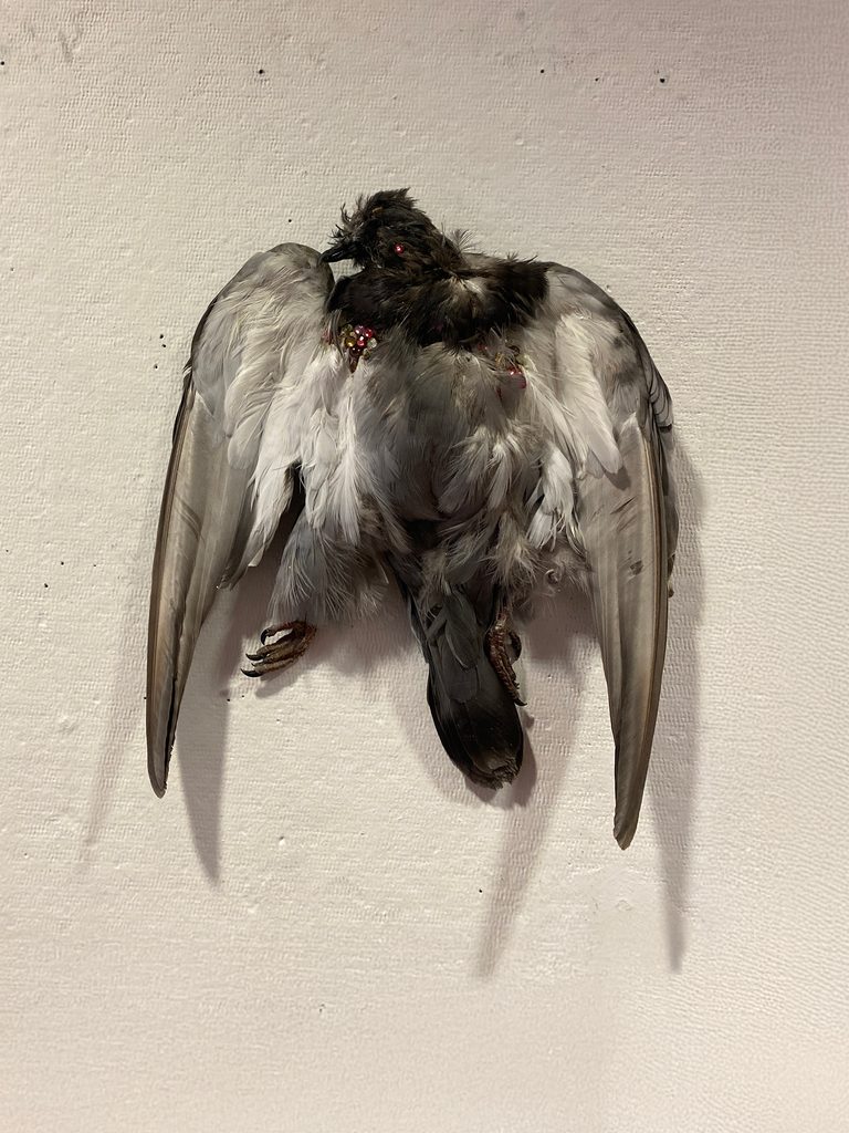 Taxidermied bird adorned with rhinestones