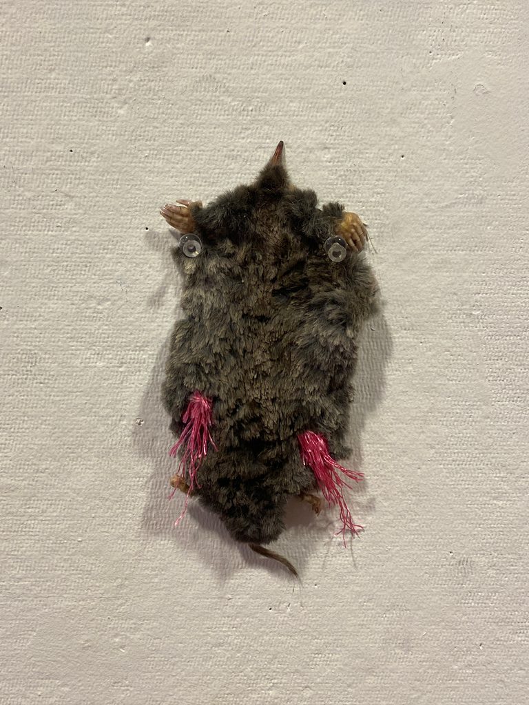 Taxidermied rodent adorned with magenta embroidery floss
