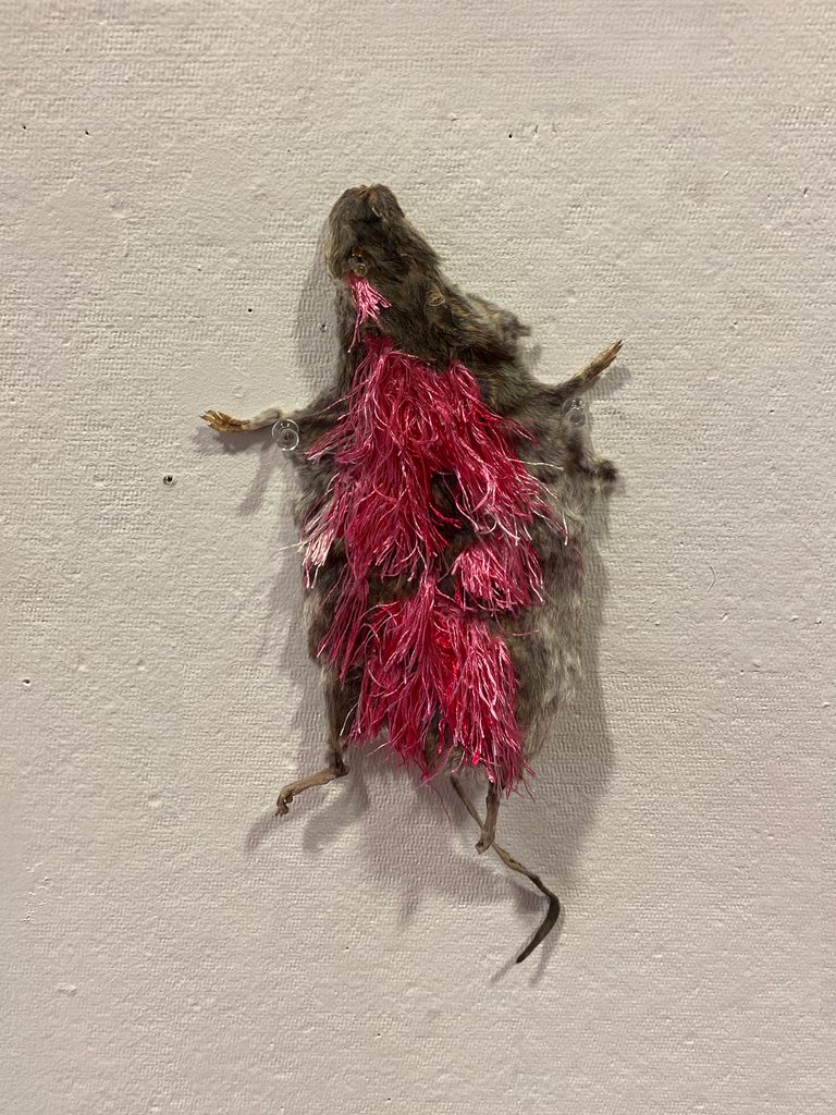 Taxidermied rodent adorned with rhinestones and magenta embroidery floss