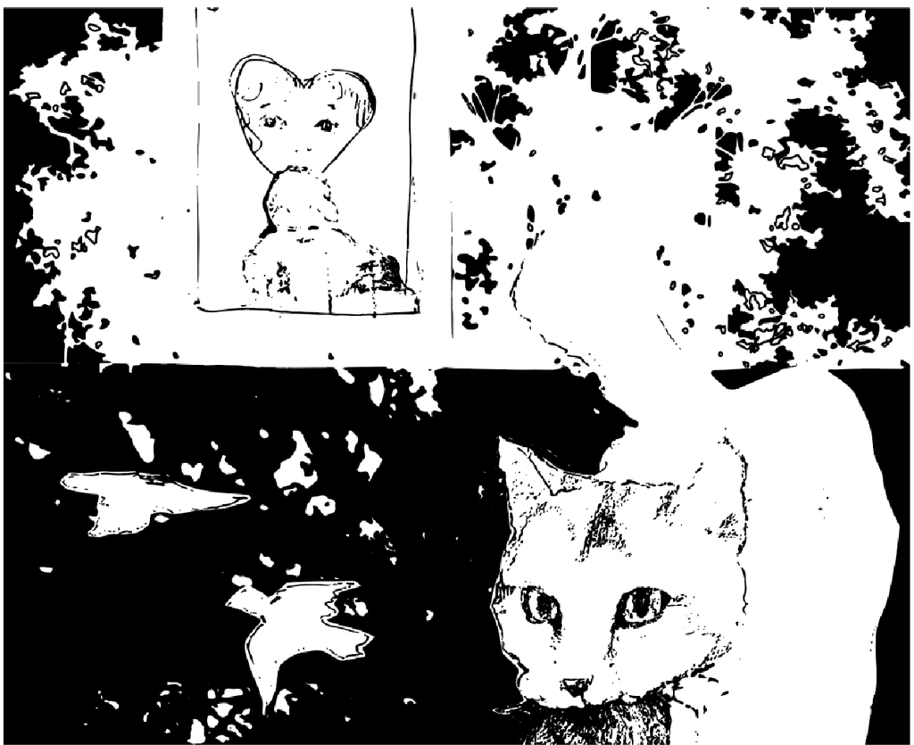 Mixed media collage of a cat, birds, and other obscure imagery