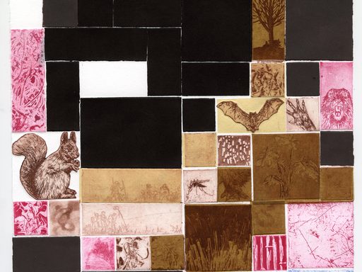 Collage print of animals, insects, plants, and other natural images