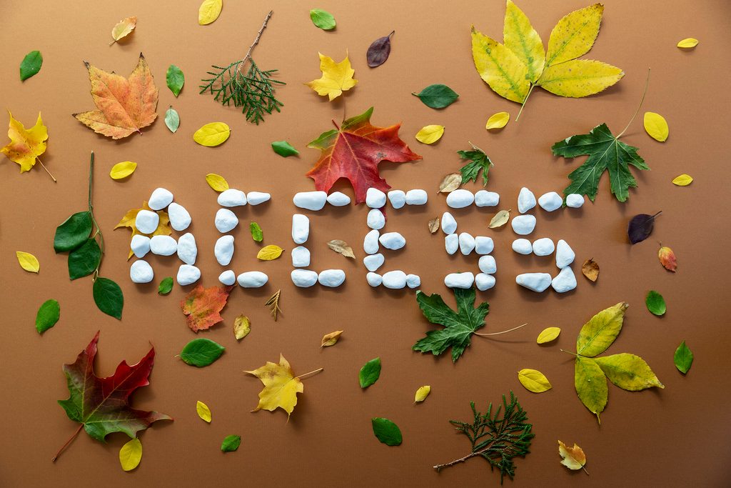 photo illustration: the word "access" spelled out with rocks surrounded by colorful leaves